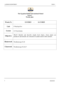 Year 4 Science Weekly Plan: Food Chains