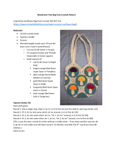 Mushroom Tote Bag Crochet Pattern - Free DIY Guide