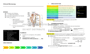 Renal Physiology Review: Clinical Microscopy Notes