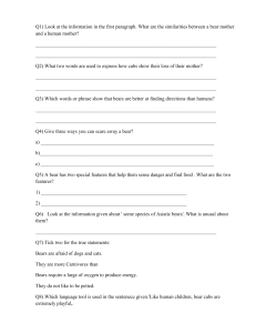 Bear Reading Comprehension Worksheet