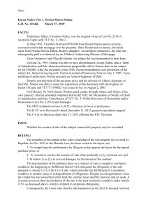Karen Nuñez Vito v. Norma Moises-Palma Case Analysis