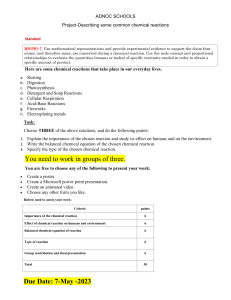 Chemical Reactions Project Assignment