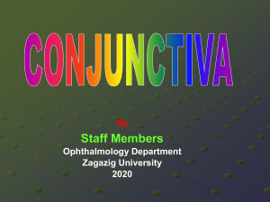 Conjunctiva Anatomy & Conjunctivitis: Causes, Symptoms, Treatment