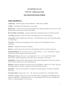 Childbearing Family Key Terms