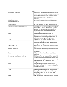 Freedom of Expression, Libel, and E-commerce Law