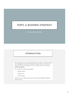 Business Strategy: Analysis & Choice