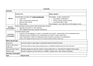 Homicide Law: Murder & Manslaughter Definitions