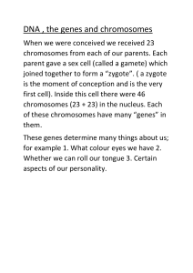 DNA, Genes, and Chromosomes Explained