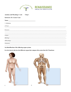 Anatomy & Physiology Lab Worksheet: Definitions & Systems