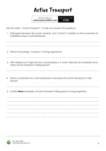 Active Transport Worksheet: Cell Biology