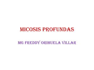 Micosis Profundas: Diagnóstico y Características