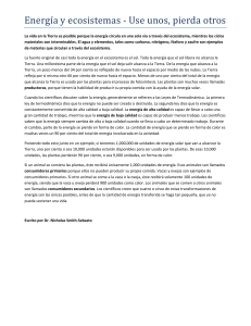 Energía y Ecosistemas: Flujo de Energía y Termodinámica