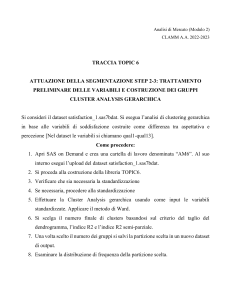 Analisi di Mercato: Cluster Analysis Gerarchica con SAS