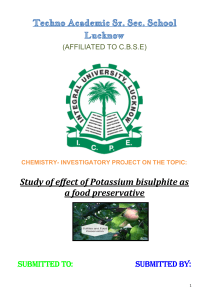 Potassium Bisulphite Food Preservative Project