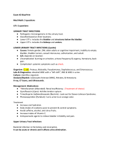 Medical Exam Blueprint: UTI, AKI, Renal, Cancer