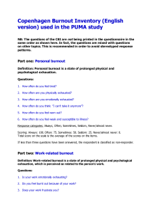 Copenhagen Burnout Inventory (CBI) Questionnaire