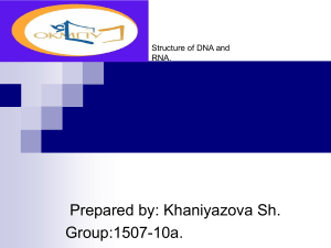 DNA and RNA Structure Presentation
