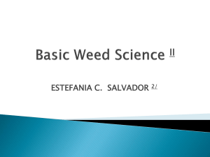 Basic Weed Science: Weed Identification & Control