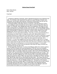 Kitchen Essay: Darkness and Light Motifs