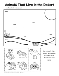 Desert Animals Worksheet: Cut and Paste Activity