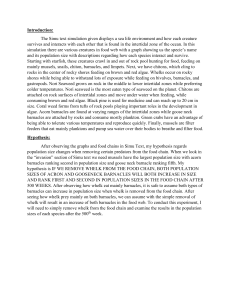 Intertidal Zone Ecosystem Simulation