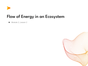 Ecosystem Energy Flow: Food Chains, Webs, Pyramids