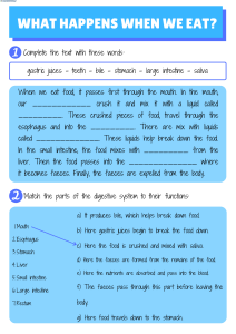 Digestive System Worksheet: Elementary Science